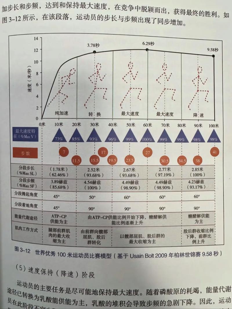 100米田径比赛规则（田径100米赛跑）