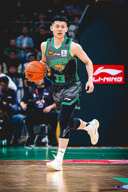 CBA：赵继伟14+11终结连败，王岚嵚5中0，本土控卫19+7