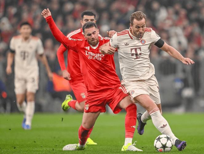 德媒：凯恩下周能出战皇马，战弗赖堡格纳布里将顶替他首发